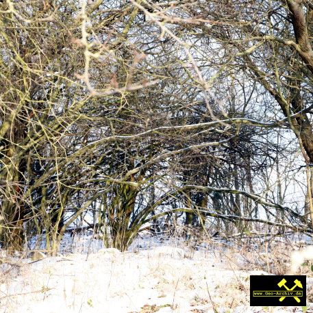 Halde des Gluecksbuthe Fundschacht im Revier Kamsdorf - Saalfeld, Thueringen - 16. Dezember 2022 (6).JPG